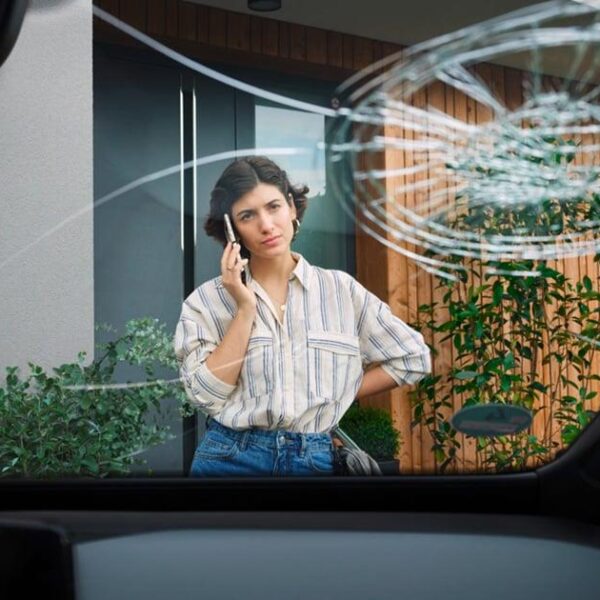 Windscreen client